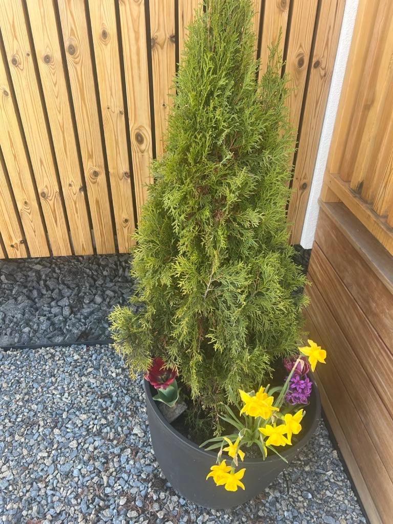 Apartamento Domcek Pod Vezami S Virivkou A Grilom, Pri Termalnom Kupalisku Liptovský Ján Exterior foto